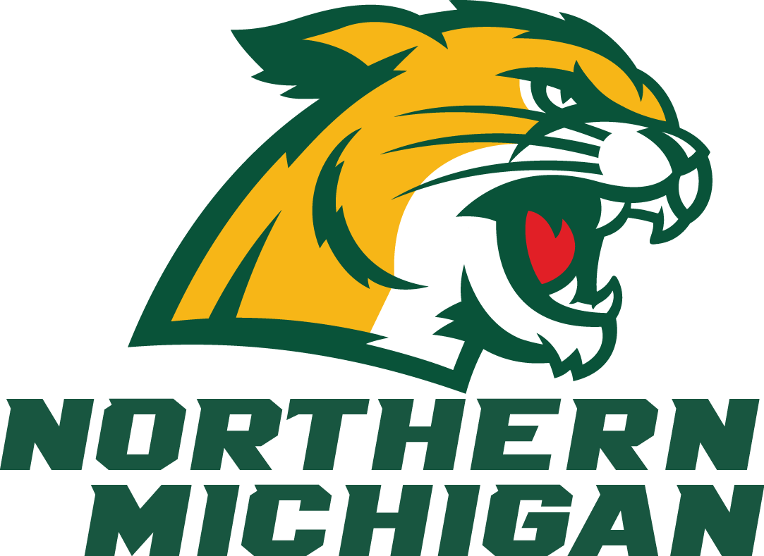 Northern Michigan Wildcats 2016-Pres Alternate Logo 02 iron on paper